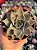 Echeveria serengeti - Imagem 1