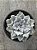 Echeveria crispate beauty - Imagem 1