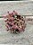 Plectranthus prostatus (boldinho) - Imagem 1