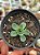 Aeonium greenovia dodrentalis - Imagem 1