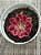 Aeonium goddess variegata - Imagem 4