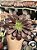 Aeonium cherry dream - Imagem 1