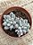 Pachyphytum baby finger - Imagem 3