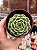 Echeveria ben badis - Imagem 1