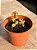 Crassula monticola - Imagem 2