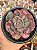 Echeveria beyonce rainbow - Imagem 1