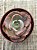 Echeveria beyonce rainbow - Imagem 3