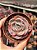 Echeveria Beyonce rainbow - Imagem 1
