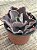 Echeveria delphynus M (sem raiz) - Imagem 2