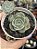 Echeveria enriquetha (importada carunculas) - Imagem 1
