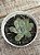 Echeveria pulidonis ‘christmas bumps’ (importada carunculas) - Imagem 3