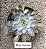 Echeveria nébula c/ carúnculas (importada) - Imagem 2