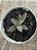 Adromischus marianae southclanwilliam - Imagem 3