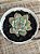 Echeveria parva x lindsayana - Imagem 2