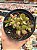Crassula money maker - Imagem 1