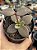 Lenophyllum reflexum - Imagem 1