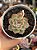 Echeveria Hércules - Imagem 1