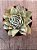 Echeveria lovely queen - Imagem 3