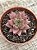 Echeveria agavoides celestia - Imagem 3