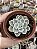 Echeveria lemon lime variegata - Imagem 1