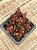 Sedum chocolate ball - Imagem 3