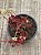 Crassula atropurpurea - Imagem 3