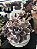 Graptoveria mrs richards variegata - Imagem 2