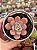 Echeveria subcorymbosa lau026 - Imagem 1