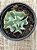 Echeveria medusa - Imagem 4