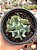 Echeveria medusa - Imagem 1
