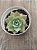 Sedum suaveolens - Imagem 3