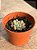 Graptoveria snow peach - Imagem 2