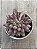 Echeveria goldfish - Imagem 3