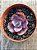 Echeveria king dragon - Imagem 3