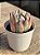 Echeveria colorata roof - Imagem 2