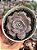 Echeveria difractens - Imagem 1