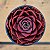 Echeveria relena - Imagem 2