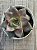 Echeveria grammut - Imagem 3