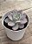 Sedum sinforosanum - Imagem 2