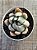 Echeveria lady lyana - Imagem 3