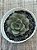 Echeveria spirit blossom (NOVIDADE) - Imagem 3