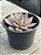 Echeveria silver queen - Imagem 2
