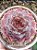 Echeveria apparition (NOVIDADE) - Imagem 2