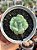 Echeveria apparition (NOVIDADE) - Imagem 1