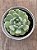 Echeveria pomegranate (NOVIDADE) - Imagem 4