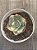 Echeveria moon goddess yellow variegata (NOVIDADE) pouca raiz - Imagem 3