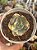 Echeveria moon goddess yellow variegata (NOVIDADE) pouca raiz - Imagem 1