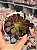 Aeonium arboreum ‘atropurpureum’ - Imagem 1