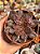 Echeveria rosularis - Imagem 1