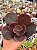 Echeveria mahogany ( sem raiz) - Imagem 1